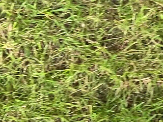 Walking Barefoot on the Grass