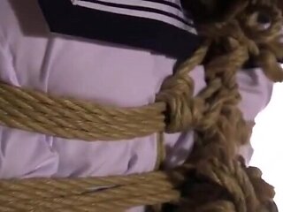 160-season-ending-who-udr