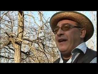 Stepather master - DVD