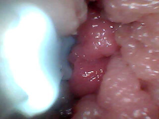 Extreme Proximity Turns Watcher Into Active, Hungry Participant