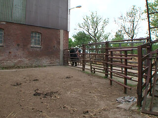 Hardcore BDSM at the farm