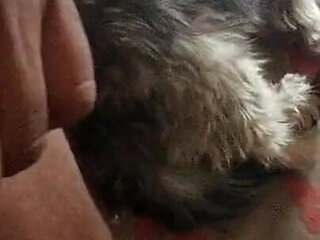 Step Mother Has Some Needs Home Alone