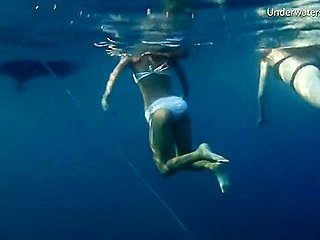 Underwater In The Sea Young Babes Swimming Nude