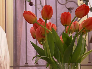 Huge cock for a perfect MILF...