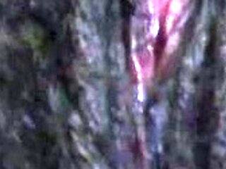 CIMA black and ebony