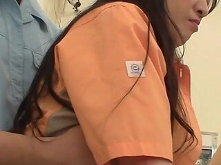 Housewife Against the Law. Disc Set -2