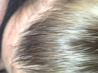 Blowjob Love to Take Cock in Mouth:)