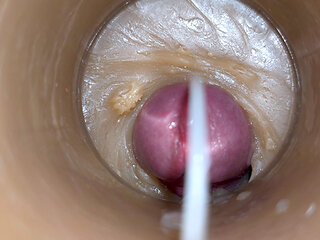 Camera Inside Deep Pussy Captures Cumshot