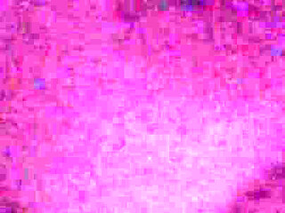 The Big Bang Theory Tease