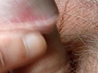 Close-up