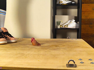 Adidas Campus Cock Trampling I Lady Thaya