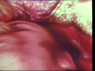 Vintage threesome pussy fucking pussy licking threesome in 69 position