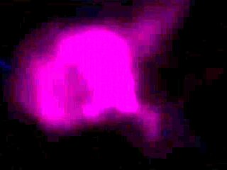 Passionate Luminous Figure_21082704p0