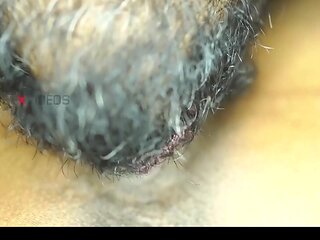 Desi Couple Close Up Pussy Licking