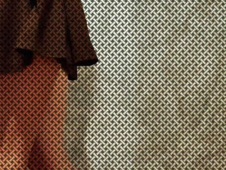 I Inserted It Into My Lover All the Way to Her Balls