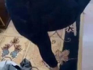 Klklk ft. Ii: Anal, Brunette  Xnxx Porn