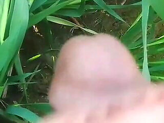 Social Experiment XXX: Random Guy Licks My Pussy Outdoors