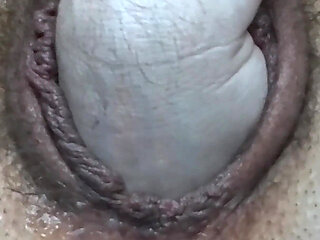 Hairy Latina MILF Fists Her Meaty Bush Pussy Deep Then Stretches with Thick Blue Dildo -extreme Wet Close up