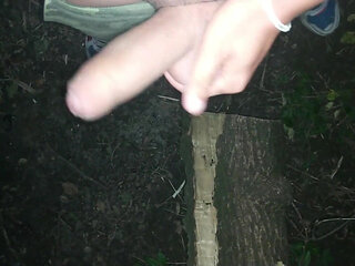 Night Outdoor Jerking, Showing Balls and Cumshot on Tree Trunk