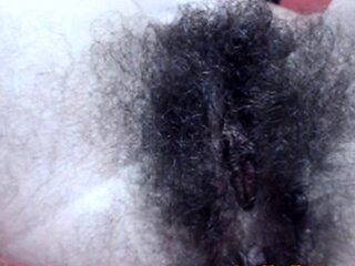 Hairy Webcam Bush