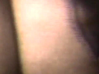 The Gozona Pig Gets Milk