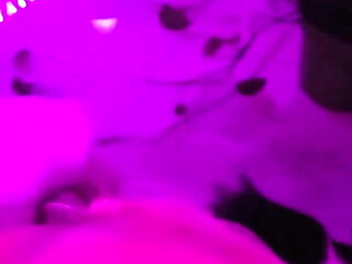 Pretty Party Smokey Kitty