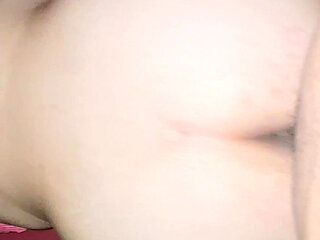 My Neighbor Visits Me