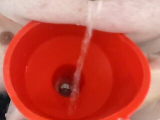 sissy pisswhore piss in own mouth pee funnel