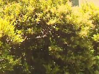 Daejha Milan Big Tits MILF Hardcore Fuck and Cumshot - Crazy Fantasy Gone Wild