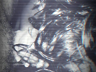 Big ass Latina getting the BWD