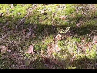 Walk Ended with Hard Fucking Ending on the Ass