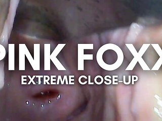 Extreme Close-up Pussy Cam
