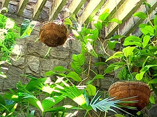 Drinking Morning Urine, Gaging, and Dirty Ass-to-mouth!! Anal Creampie Swallowed!! Cnc "real" -alternative Cam-