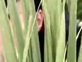 A Four-way on the Stairs with 2 Beautiful Sluts