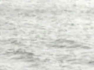 Trailer388