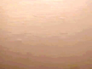 Tell Me About Your Fantasy!