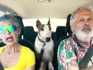 We drive around East Oahu while chatting about things sexual
