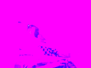 Tomboy Pounds College Roommate Vilu Vidish