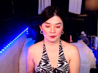 Solo webcam tranny masturbation