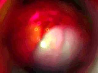 B025 Asian Beauty Tentacbondage Slave Face Sitting, Farting, Anal Licking