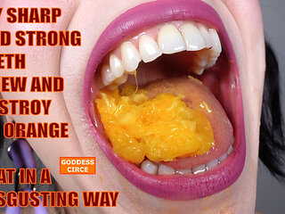 My Sharp and Strong Teeth Chew and Destroy an Orange - I Eat in a Disgusting Way