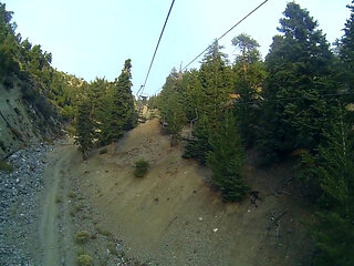 Lesbian Utopia: Lesbians 6