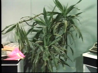 Two Girlfriends Try to Do Lesbian