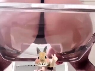 amateur vip ass masturbating on live webcam