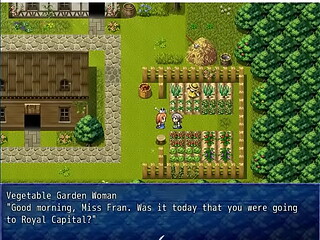(  18 ) H RPG Games LittleBraver #2