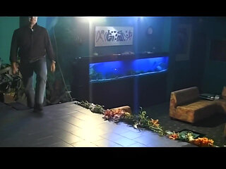 Spicy Latina Shemale