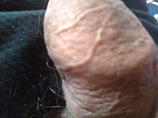 Monster penis weathering the heat