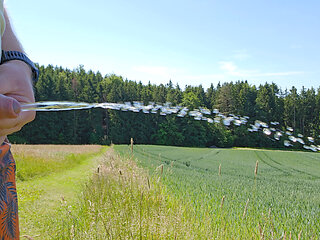 Outdoor Pissing and Hiking 2025 - Small Penis Edition