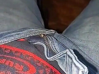 Dick in Pant