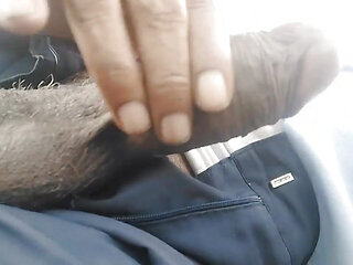 Strong Indian Cock